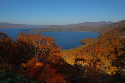 十和田ブルーという言葉があるだけに、ブルーの湖面は本当に美しく、紅葉と良くマッチします。