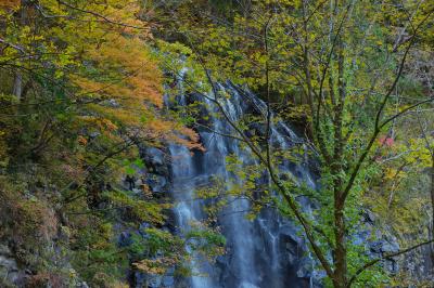 一の滝 紅葉| 一の滝は登山道から手前に紅葉の木々を入れて撮影することができます。