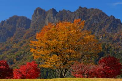 美術館前の紅葉| 美術館前の広場から撮影しました。黄色と赤の紅葉と奇岩「妙義山」。