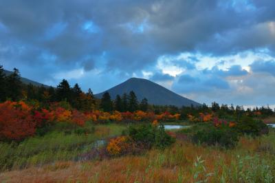八甲田エリアで人気の高い睡蓮沼。紅葉して色付いた木々が沼を囲んでいました。