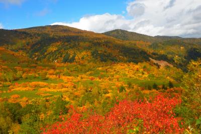 八幡平アスピーテライン 紅葉| パッチワークのようにカラフルな紅葉風景が広がっていました。