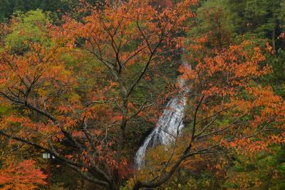 七滝の公園は紅葉真っ盛りでした。オレンジの紅葉が美しかったので、枝の間に七滝を入れて撮影してみました。