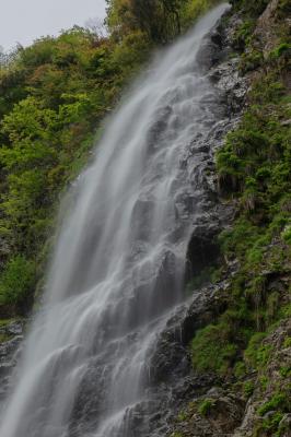 巨瀑で荘厳ながらも優美な感じのする滝でした。静かで心地よい水のサウンドに癒やされました。