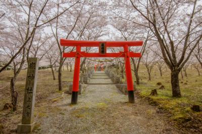 嶽神社の桜| 