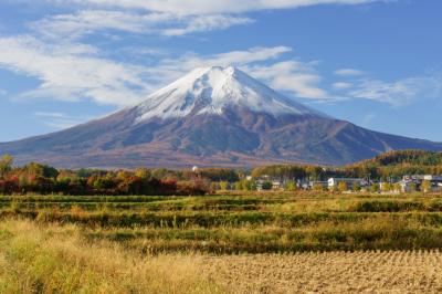 農村公園 富士山| 晩秋、冠雪した富士山と田園風景