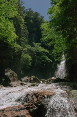 新緑の中を豪快に駆け抜ける水が印象的でした。