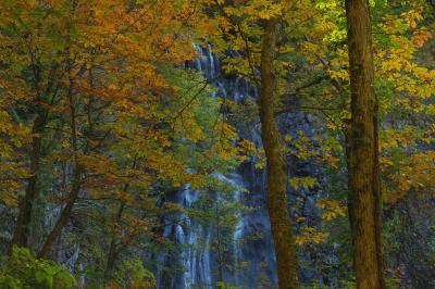 紅葉の木々の奥に流れる水。秋は水量が少なく、繊細な感じの滝になっていました。