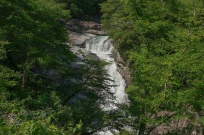 緑に包まれた大泰の滝。この周辺は滝が多いエリアです。