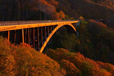 太陽が傾き、強い斜光が橋を照らしています。ブナの紅葉の森に浮かび上がる橋が綺麗でした。