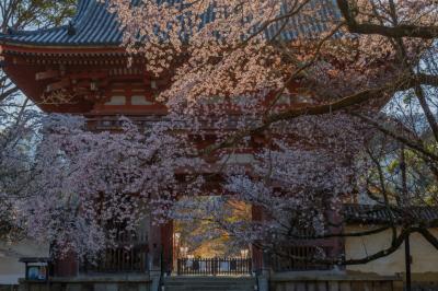 醍醐寺| 