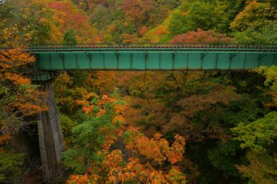 峡谷の紅葉| 深い峡谷に架けられた鉄橋。紅葉が鉄橋を囲んでいるフォトジェニックな空間です。