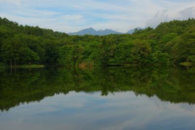 池を囲む森の奥に八ヶ岳連峰が見えます。八ヶ岳西麓にある静かな池です。