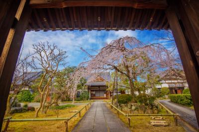 上品蓮台寺| 