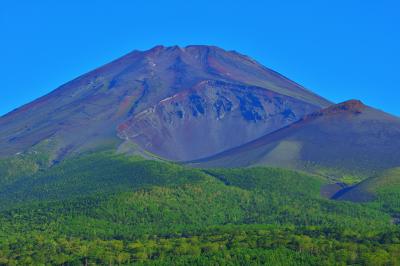 緑豊か、青空に映える真夏の富士山。水ヶ塚公園は富士山をとても近くに感じることができる場所です。