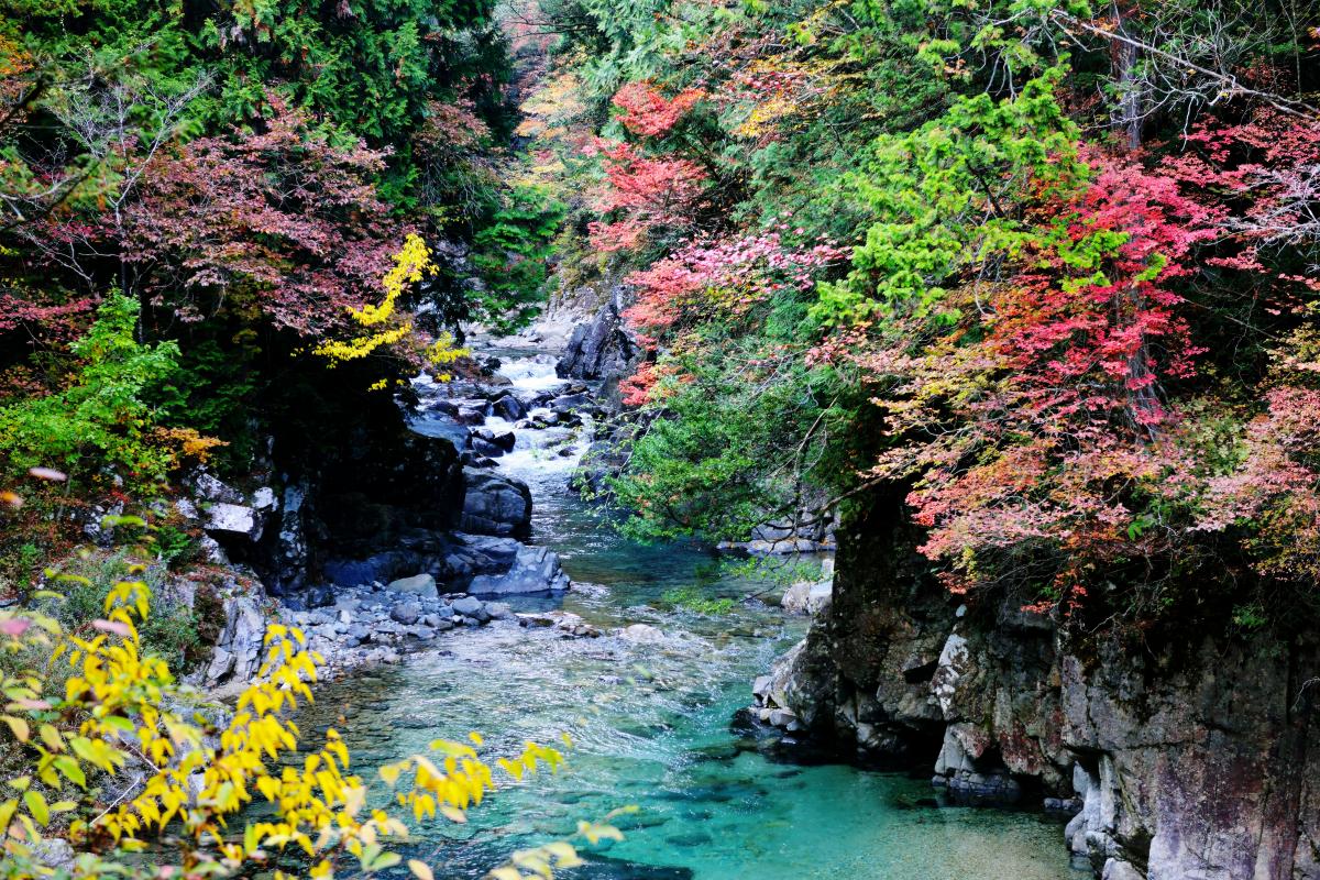 紅葉渓谷 色とりどりの紅葉とエメラルドの水