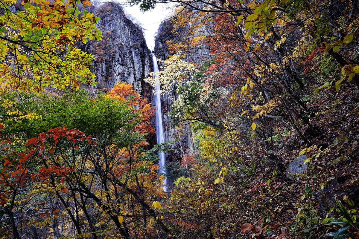 権現滝の紅葉 手前の紅葉の色が美しい