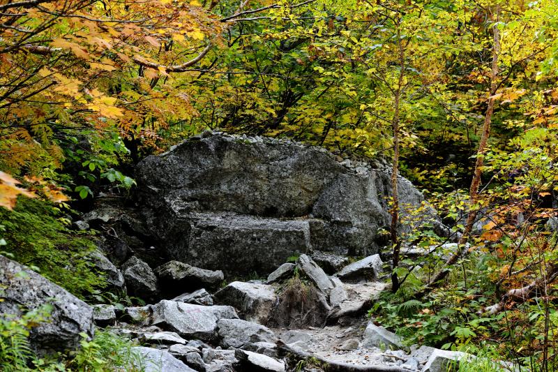 [ 登山道の巨大岩 ]  休憩するのに良い岩でした。