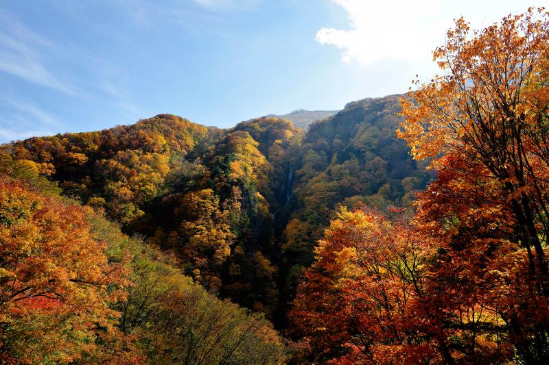 [ 紅葉の八滝 ]  前方の山に滝が見えます