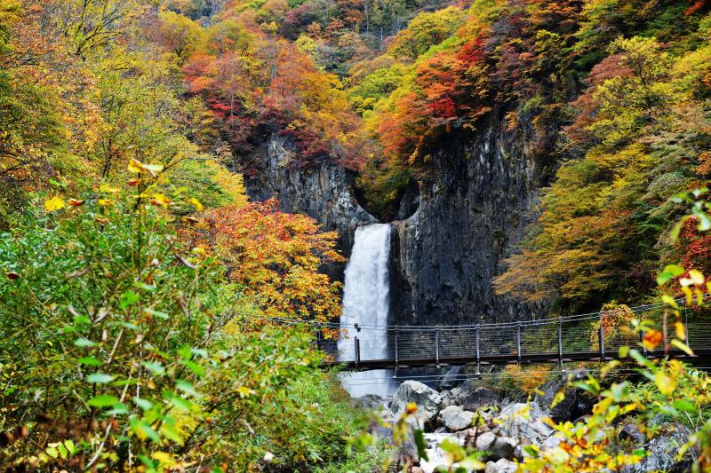 [ 紅葉の苗名滝 ]  半円形に削られた岩から、水が流れ落ちます