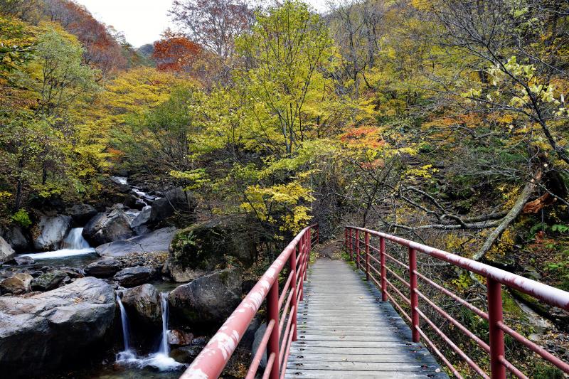 [ 赤い橋 ]  赤い橋を渡り、山道へ入ります。