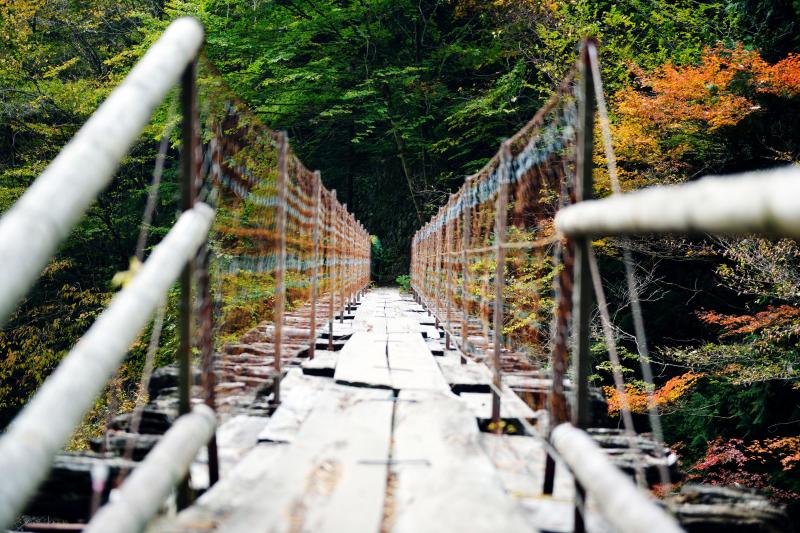 [ 橋の向こうに ]  おんぼろで少し渡るのに勇気のいる橋