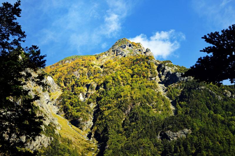 [ 上高地　No1 ]  北アルプスの山々が目の前に見えます