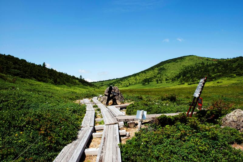 [ 登山道への分岐 ]  ここを右に曲がると避難小屋です