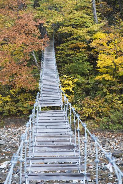 [ 壊れたつり橋 ]  紅葉の中に橋がありました