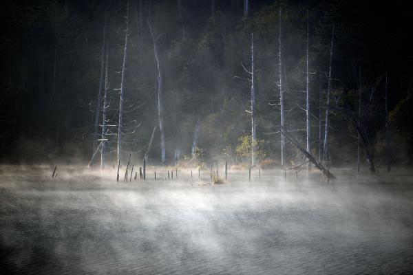 [ 霧の自然湖 ]  湖面から湯気が湧き出て、幻想的です。