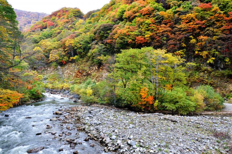 [ 苗名滝までの渓流 ]  滝まで渓流沿いに歩きます