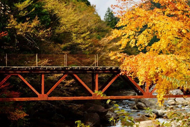 [ 紅葉の橋 ]  線路のような橋の上を渡ることができます