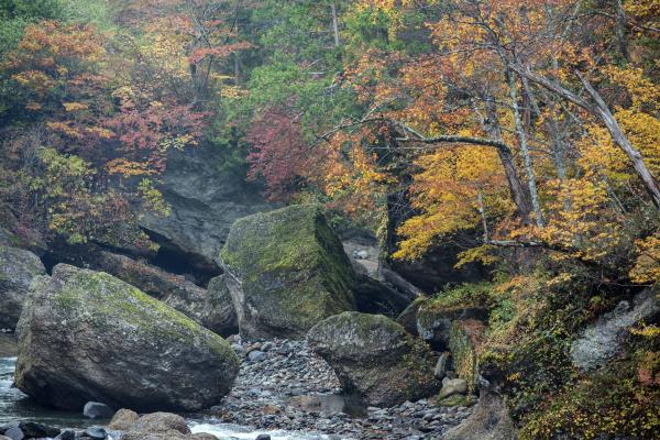 巨大岩と紅葉の渓谷 | 渓谷には巨大な岩が沢山あります