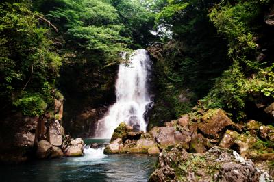 緑に囲まれた奈曽の白滝| 高さは26mあります