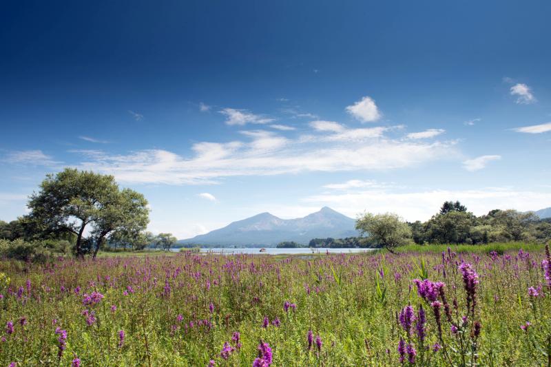 [ 桧原湖・細野の風景 ]  