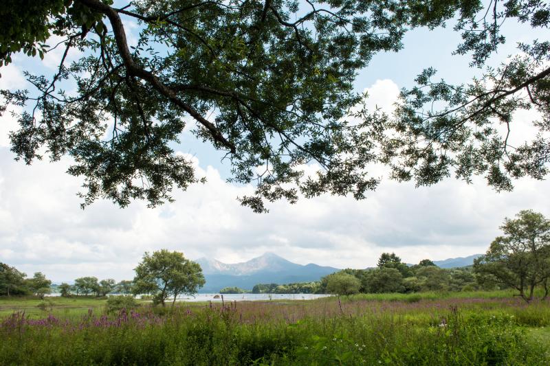 [ 桧原湖・細野の風景 ]  