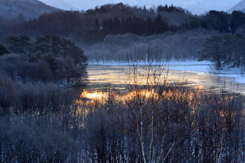 [ 霧氷と朝焼け ]  湖畔の木々の霧氷が美しい