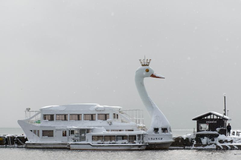 [ 猪苗代湖・長浜の白鳥 ]  