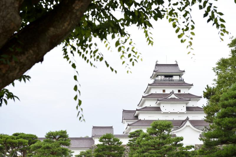 [ 夏の天守閣 ]  木陰から天守閣を見上げています。