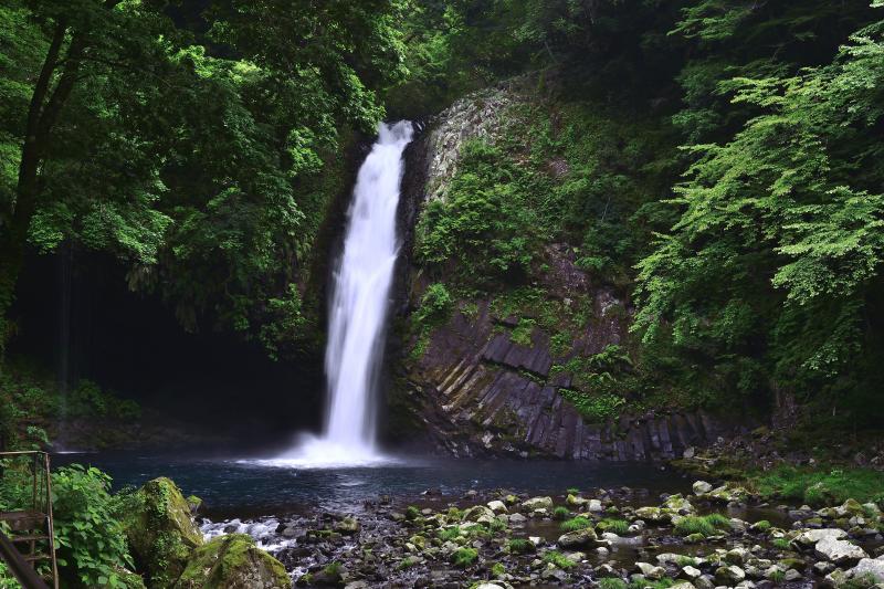 [ 常連の滝 初夏 ]  緑豊かな滝風景です。