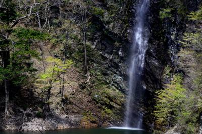 回顧の滝| 美しい姿を見せてくれます