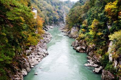 天竜峡の紅葉| 両岸が色づいてきています。