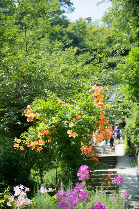 [ 山寺 ]  