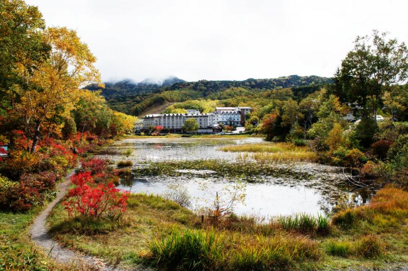 [ 蓮池全景 ]  歩くのに適度な大きさの池です。