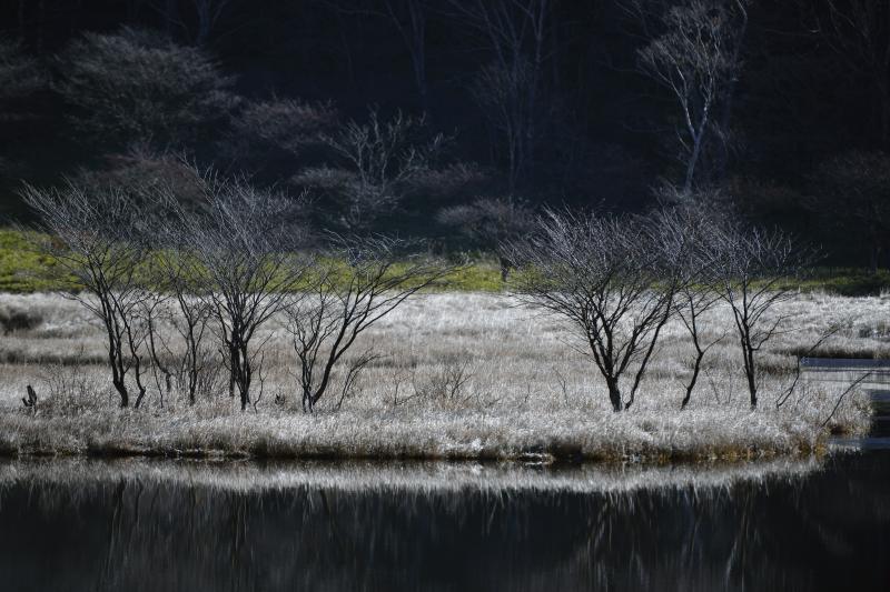 [ 覚満淵 ]  赤城の紅葉の名所。紅葉が終わりかけの頃に撮影しました。