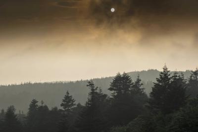 雲と太陽| 雲の中にある太陽が光芒を出しています。