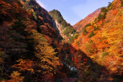 高瀬渓谷| 紅葉に綺麗な谷間に陽がさしこんでいます。