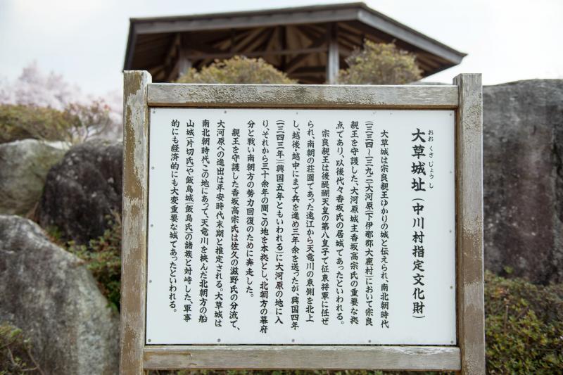 [ 大草城址公園の桜 ]  