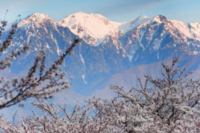 残雪の山に朝日が当たります。