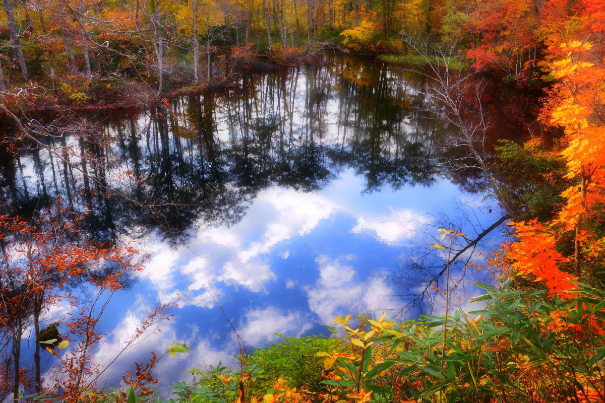 紅葉シンメトリー 水鏡 絶景 東北 新潟 長野などのスポットをまとめて紹介 ピクスポット 絶景 風景写真 撮影スポット 撮影ガイド カメラの使い方