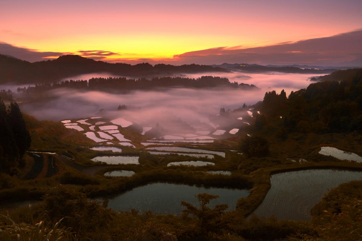 十日町市の棚田 ピクスポット 絶景 風景写真 撮影スポット 撮影ガイド カメラの使い方